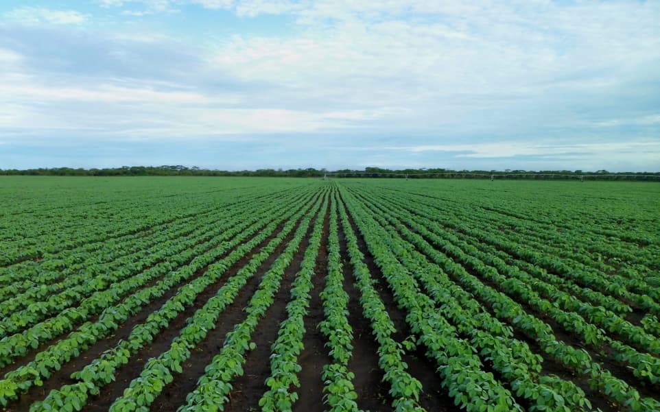 Carbon Footprint Measurement in Agriculture
