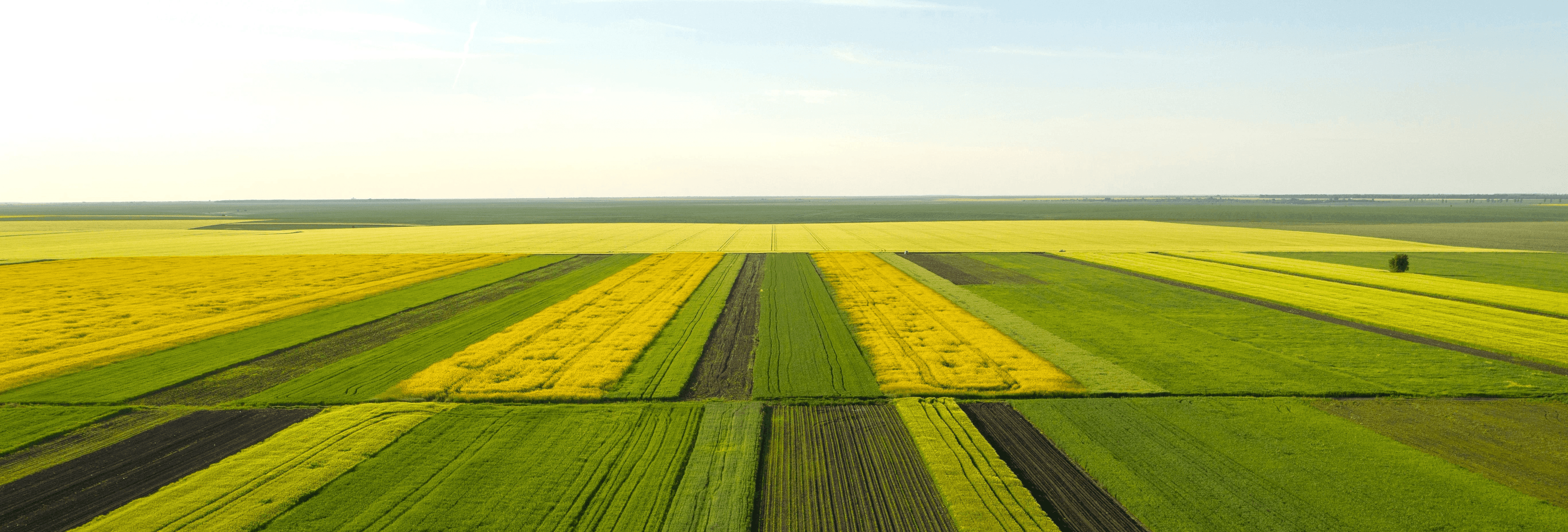 The Importance of Landscape Sustainability in Agriculture