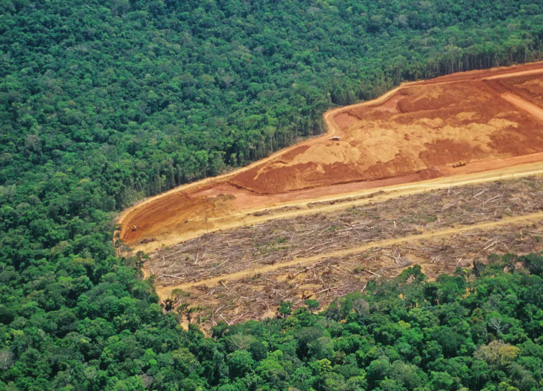 The Relationship Between Sustainability and Production Capacity