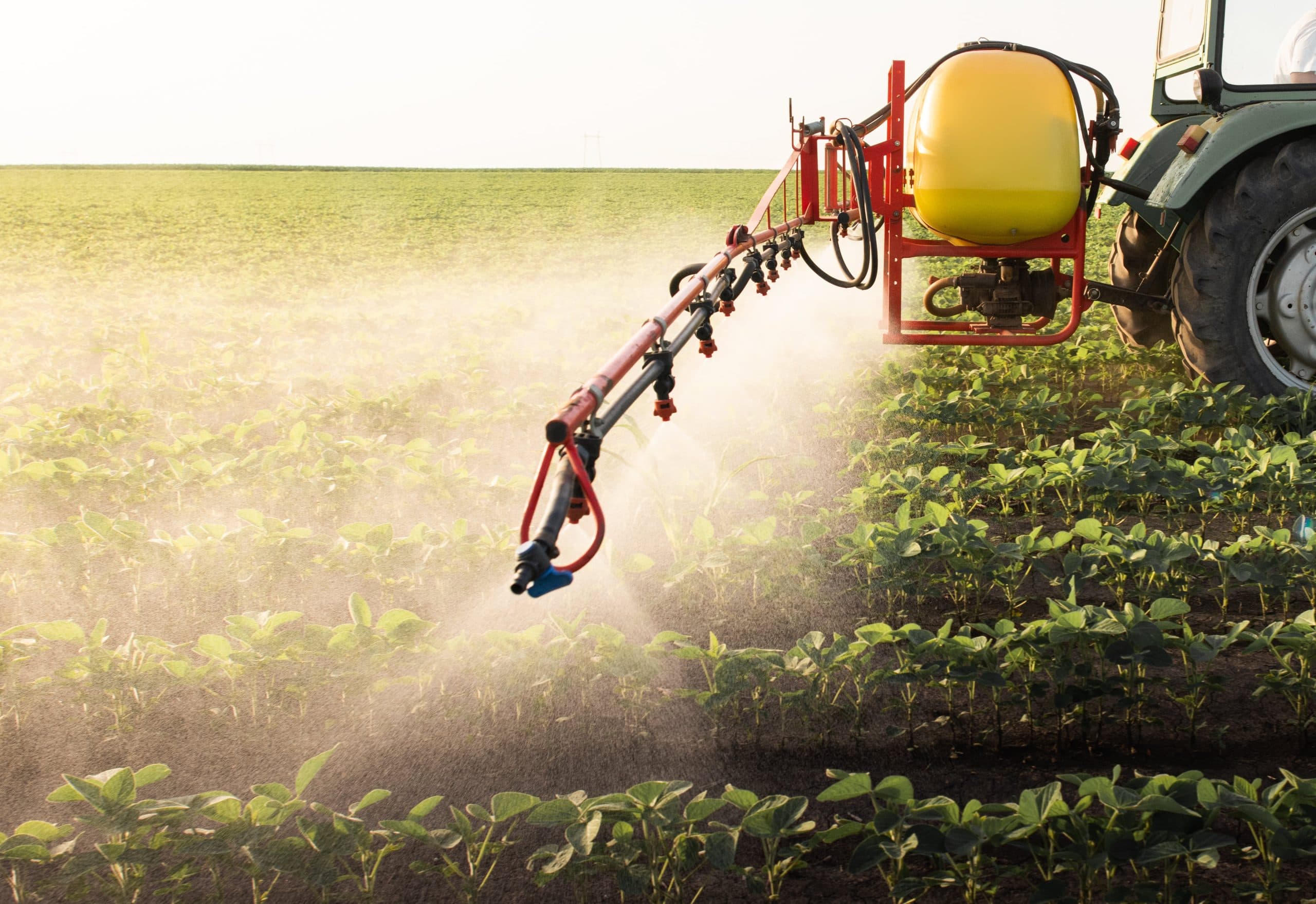 Digitalization of Agriculture for Process Improvement