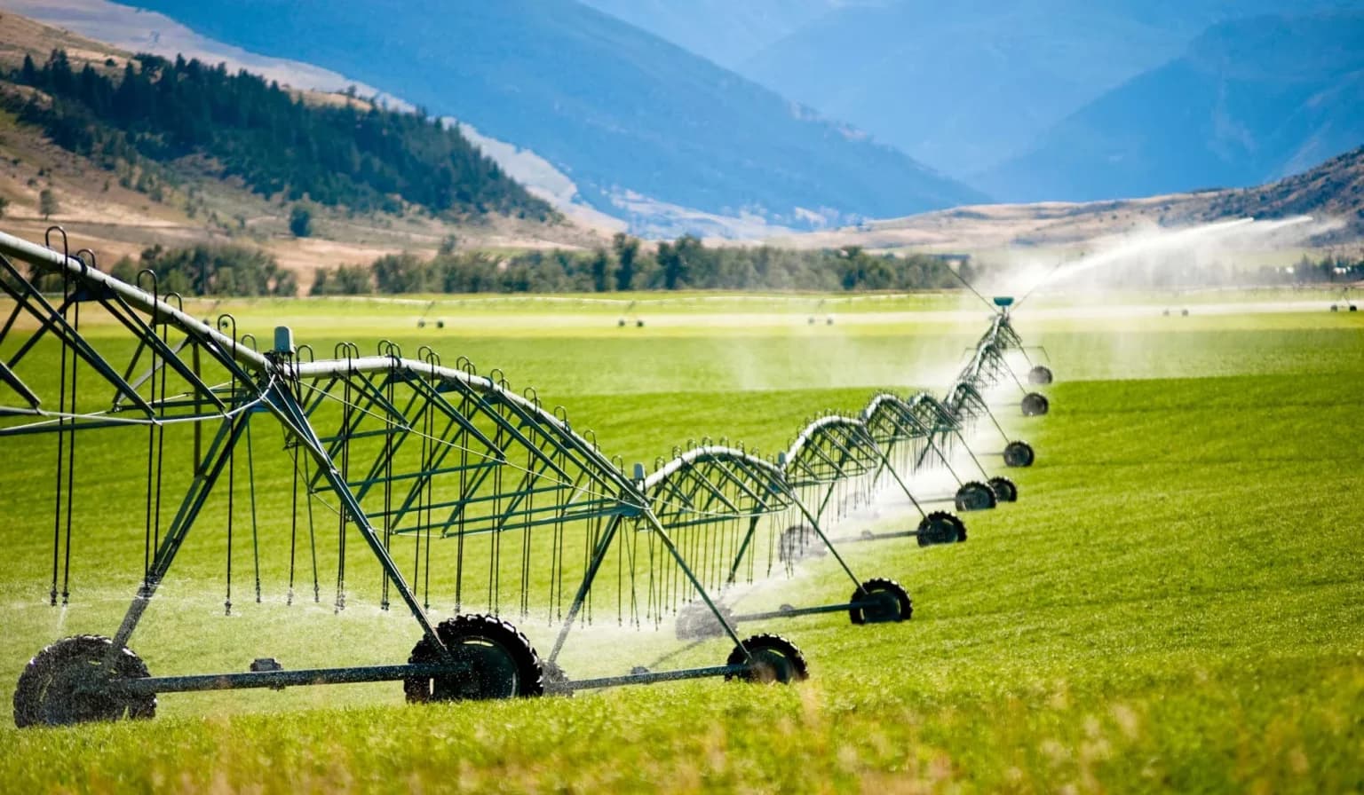 Water Footprint: An Opportunity to Generate Economic Value