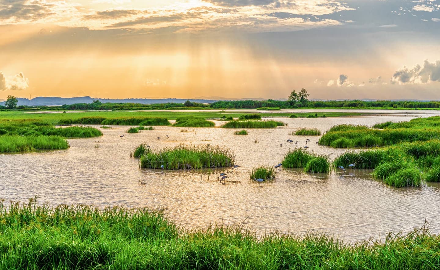 Wetland boundaries and water resource conservation areas visualization