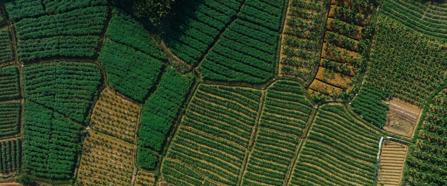 Crop type classification and land use change detection