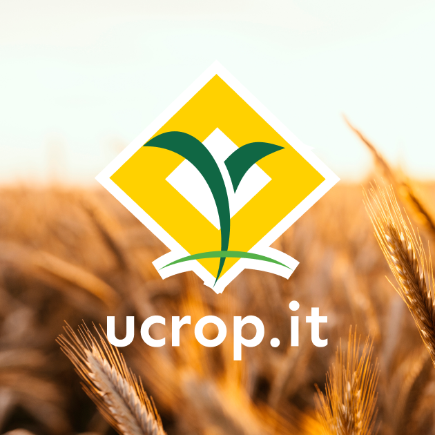 Ucrop preview