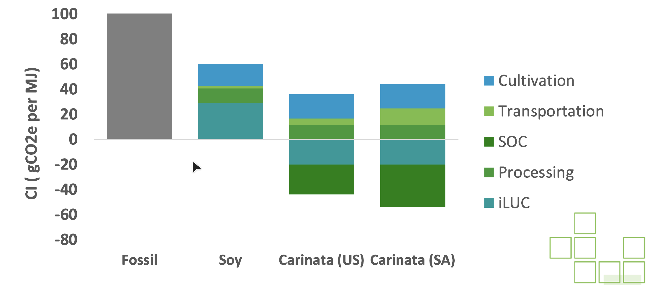 Carinata2